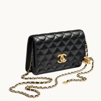 SMALL C BAG