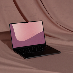 MacBook Pro M6